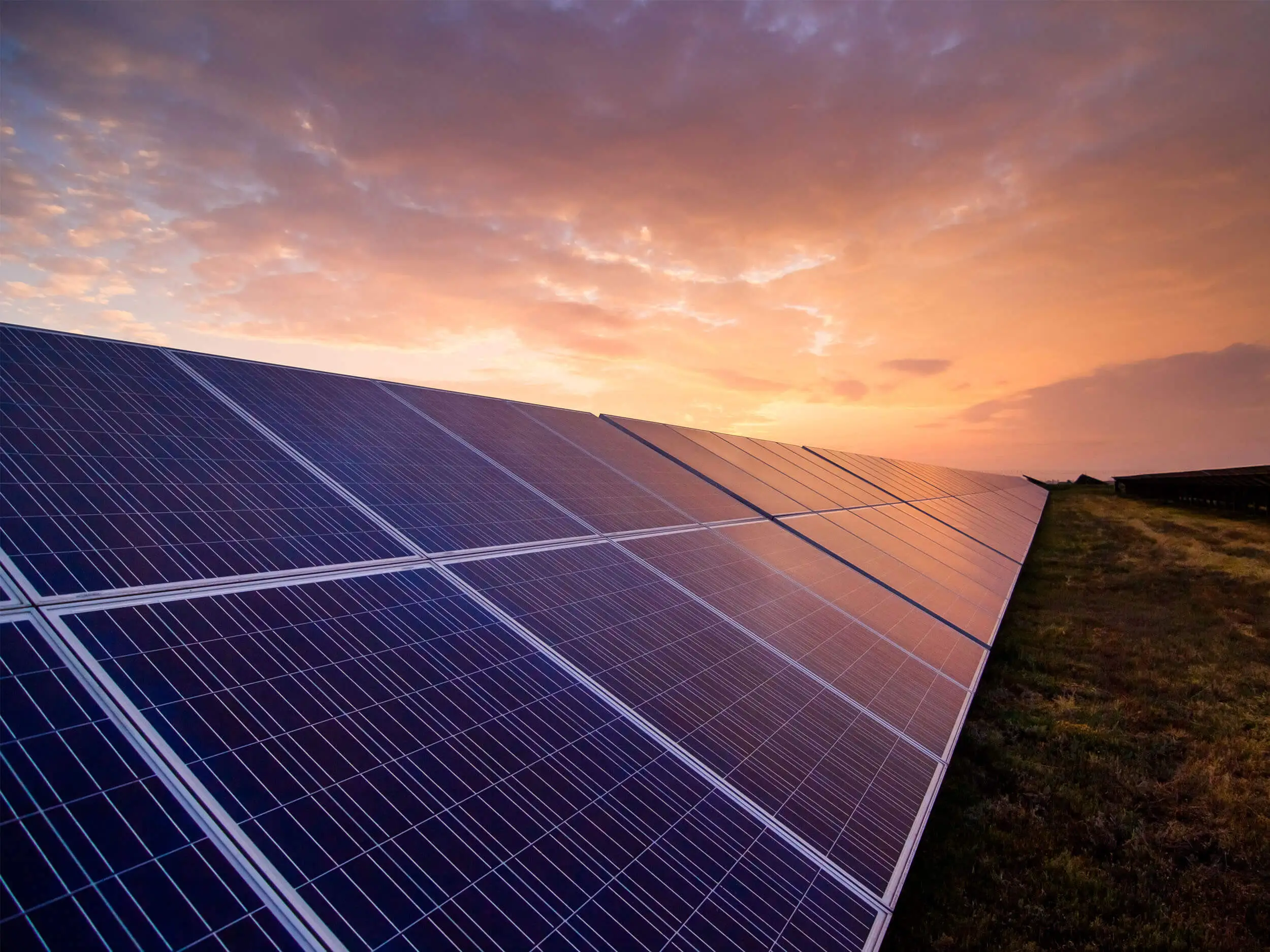 Solar Panel Array