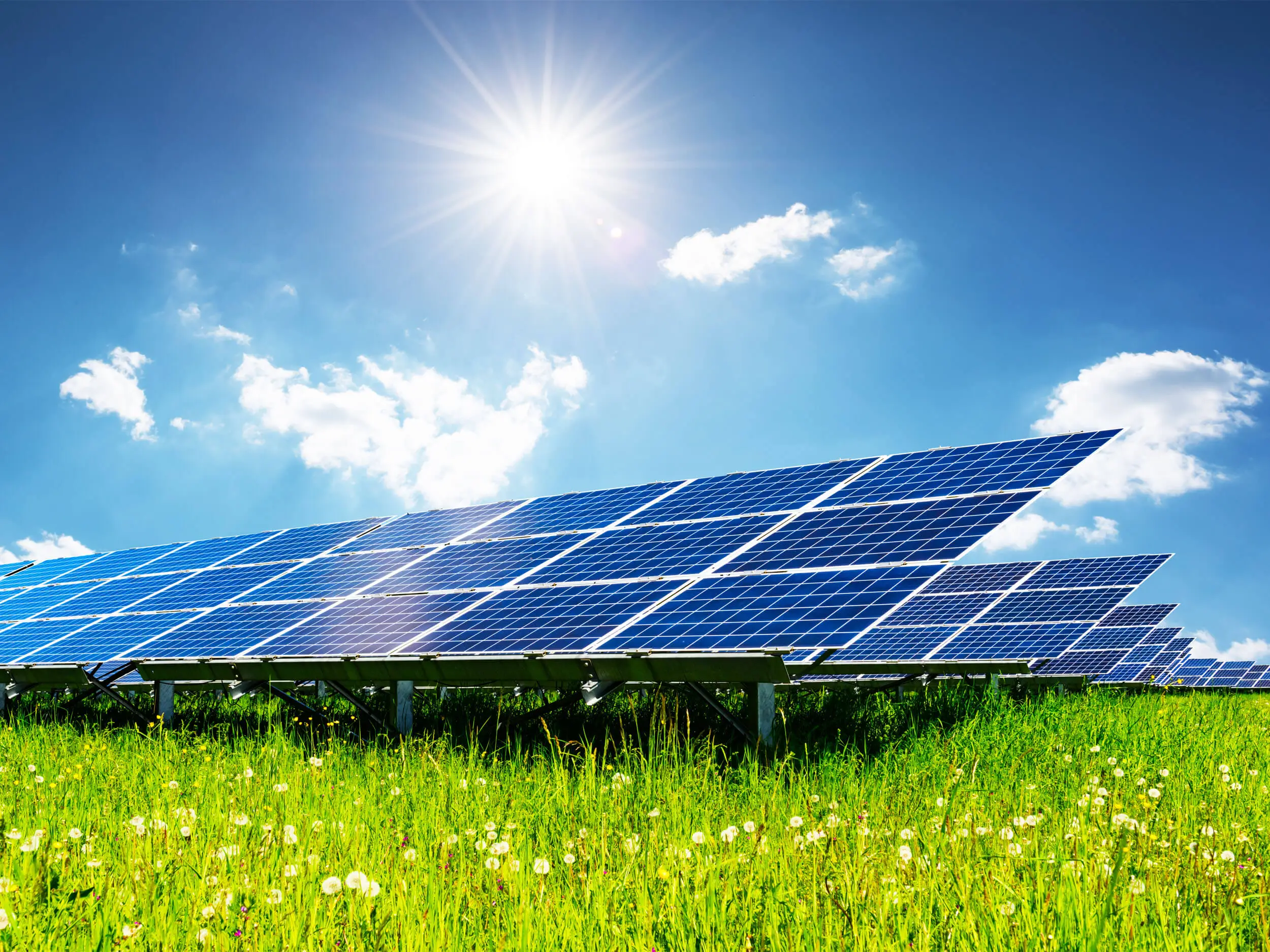Solar Panel Green Field Array Installation