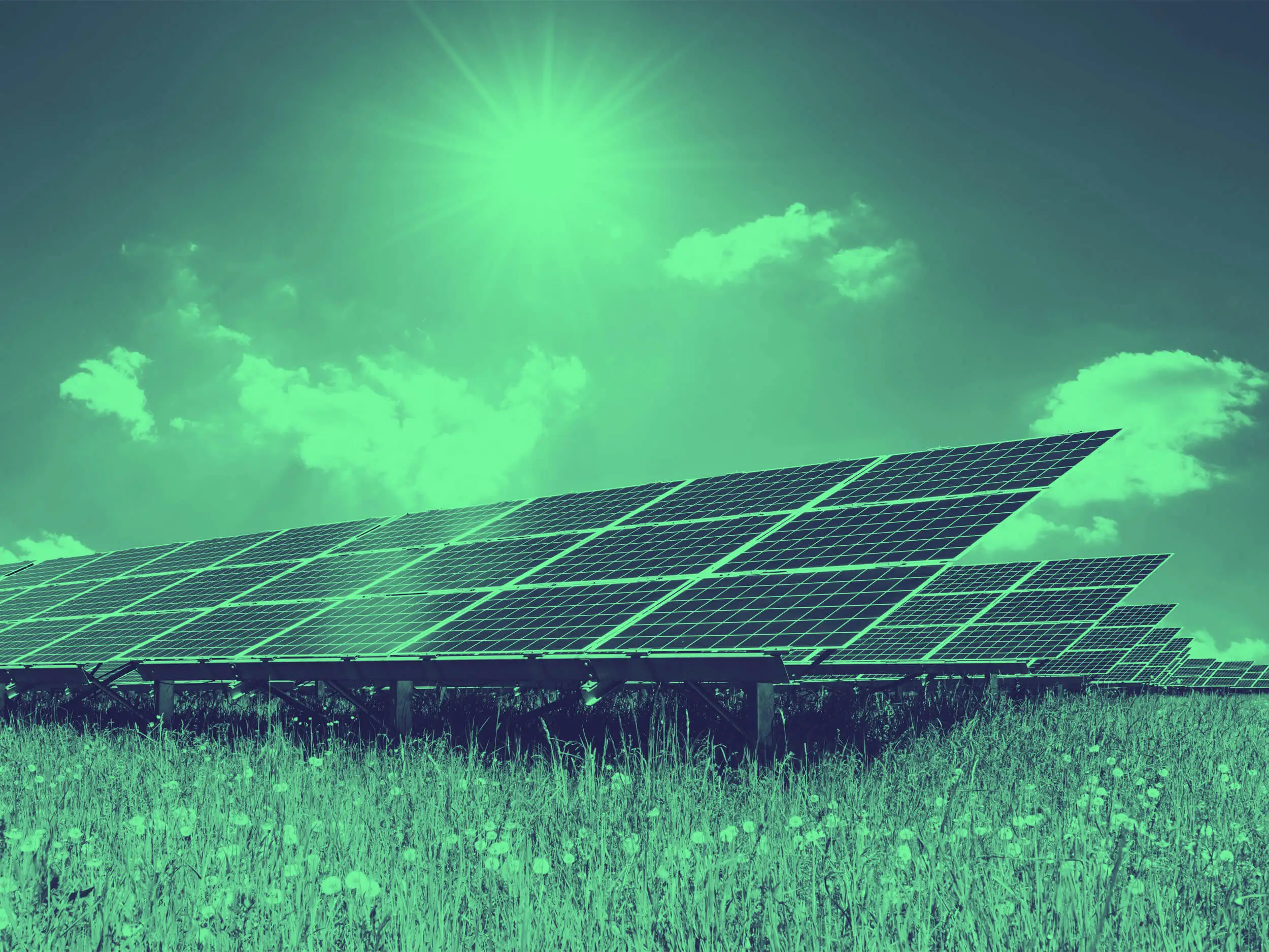 Solar Panel Array Installation in a field