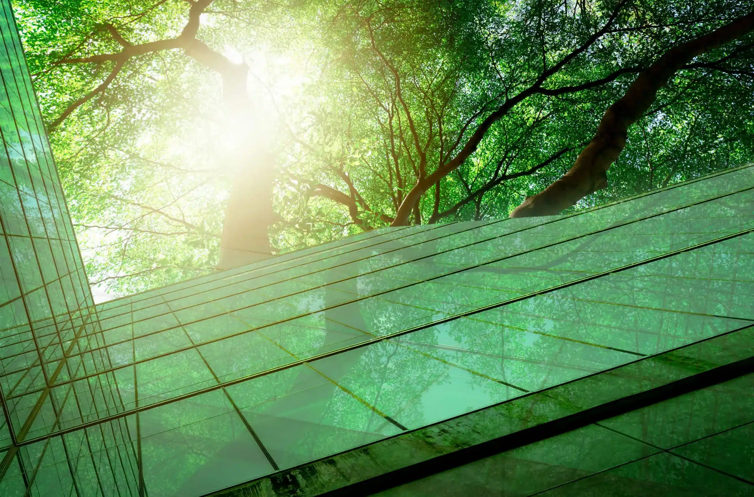 Sustainable Solar Energy