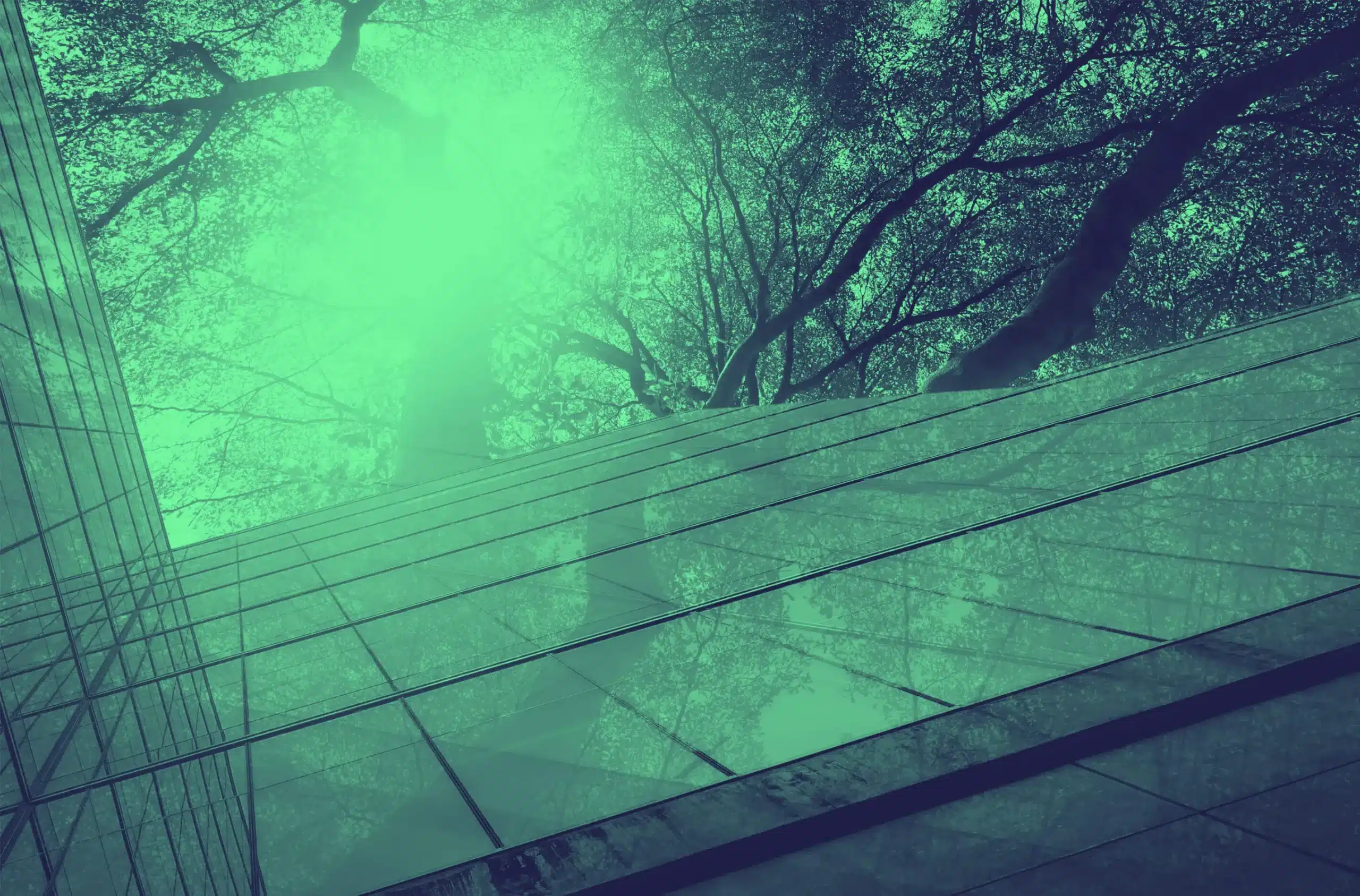 Solar Panels Modern Build